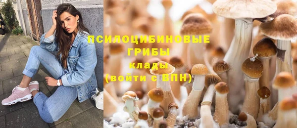 каннабис Арсеньев