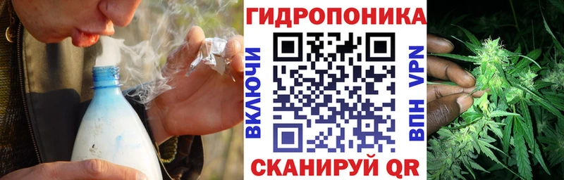 Марихуана план  Родники 